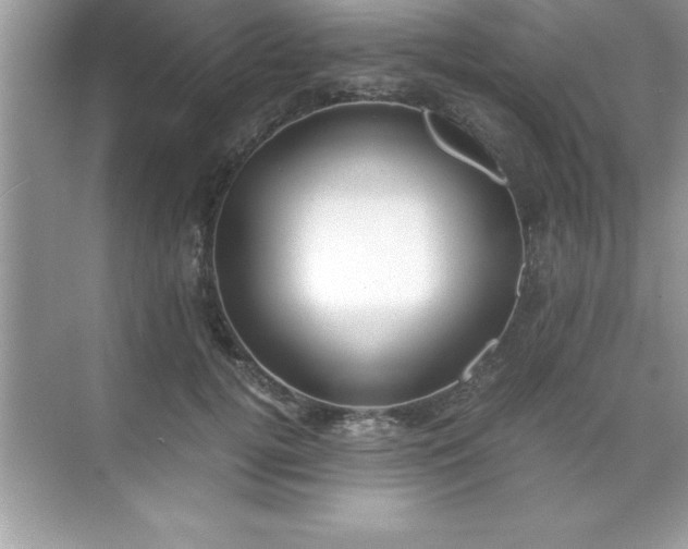 X0000071830752200607072209