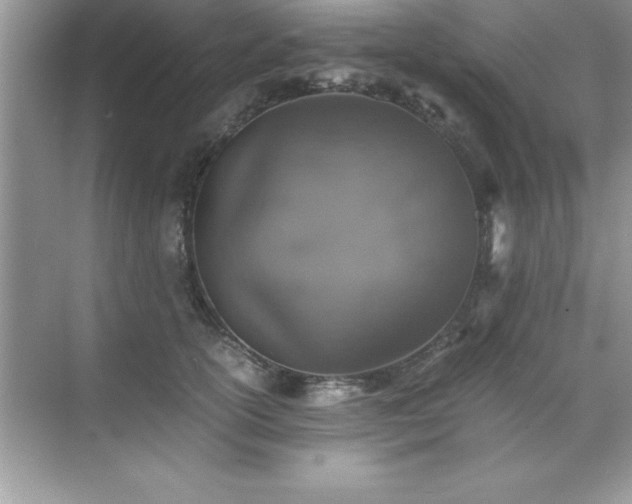 X0000071830754200607072209