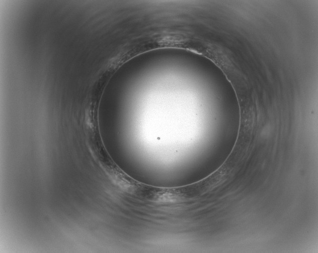 X0000071830755200607072209