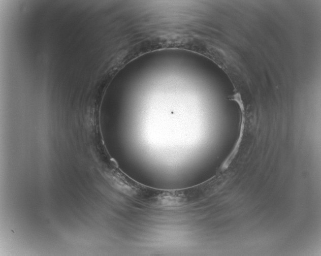 X0000071830756200607072209