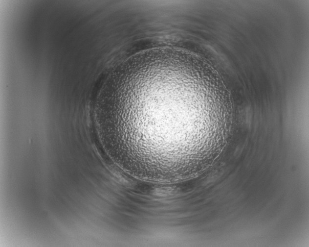 X0000071830757200607072209