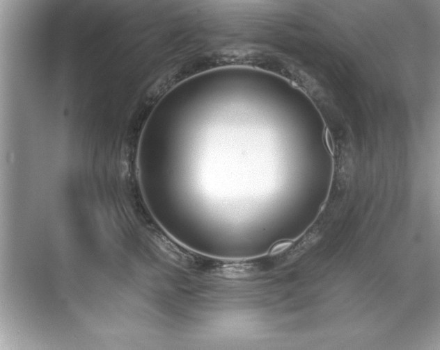 X0000071830758200607072209