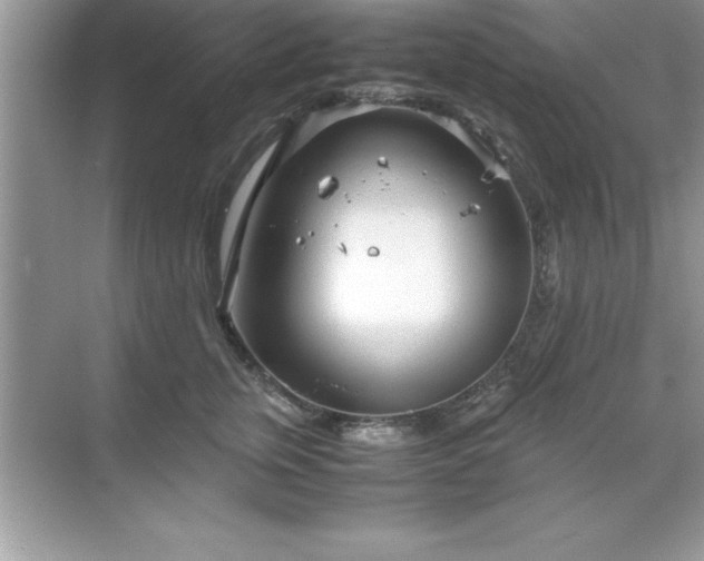 X0000071830759200607072209