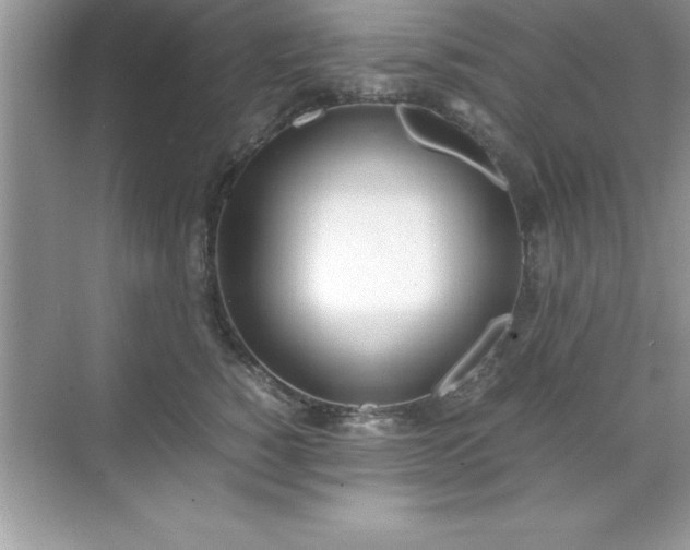 X0000071830760200607072209