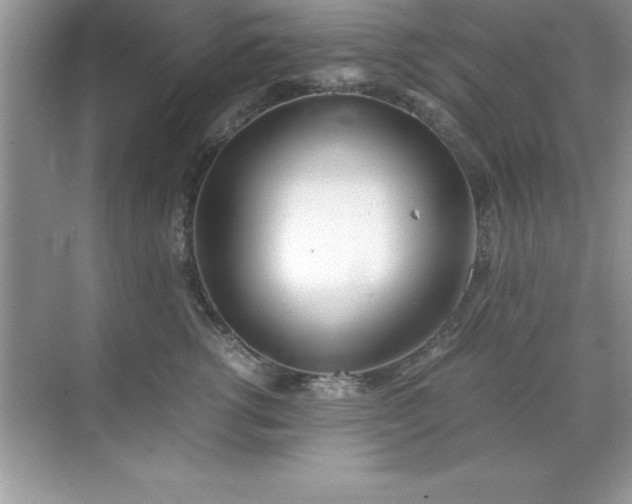 X0000071830762200607072209