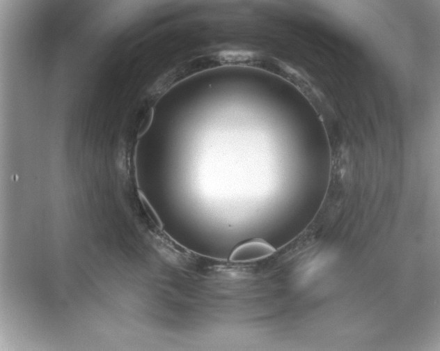 X0000071830763200607072209