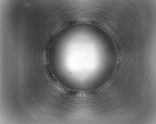 X0000071830764200607072209