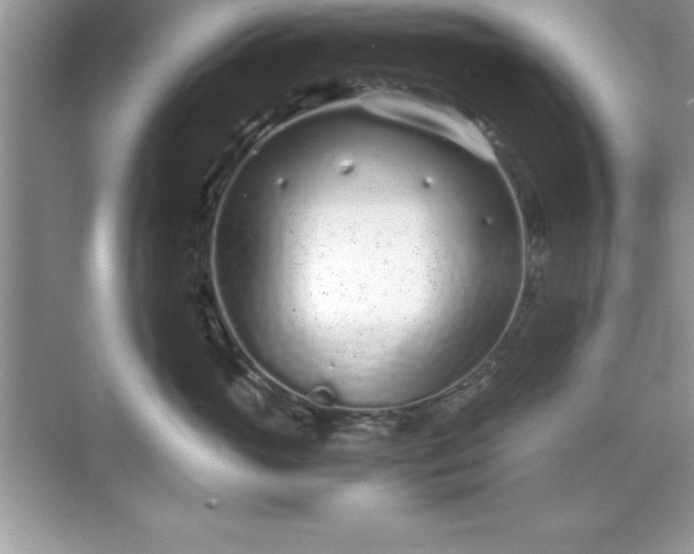 X0000071830765200607072209