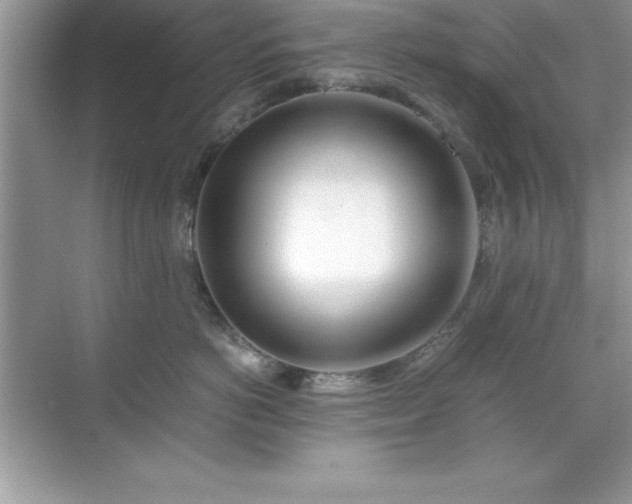 X0000071830766200607072209