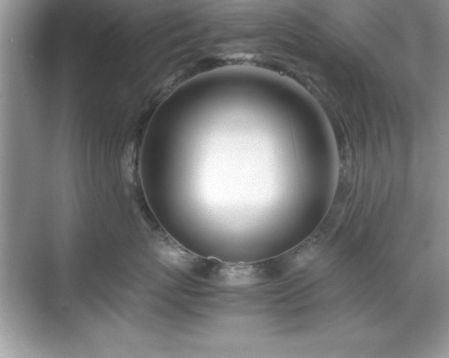 X0000071830767200607072209