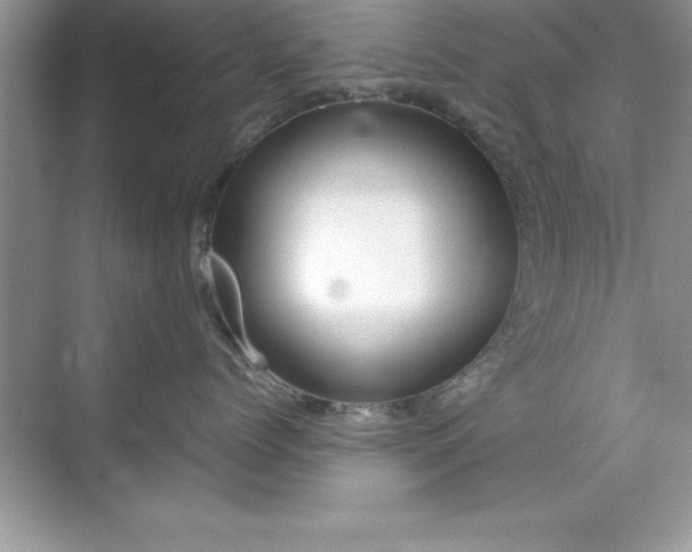 X0000071830768200607072210