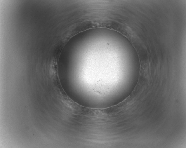 X0000071830770200607072209