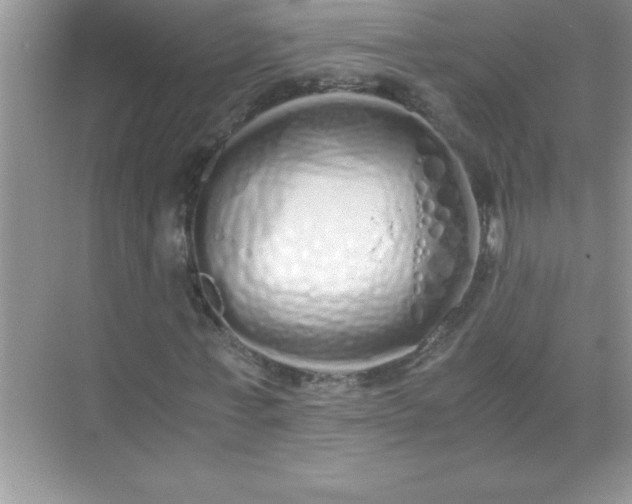 X0000071830771200607072209