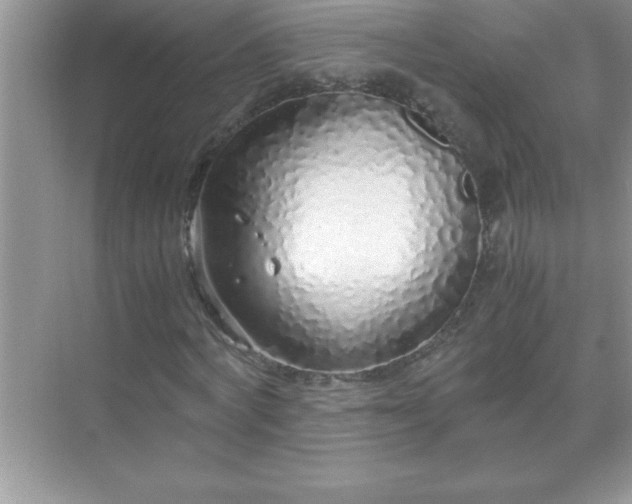 X0000071830772200607072209