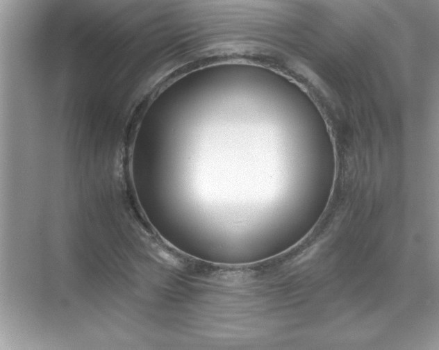 X0000071830778200607072209