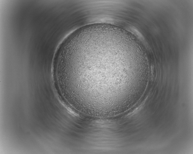 X0000071830780200607072209