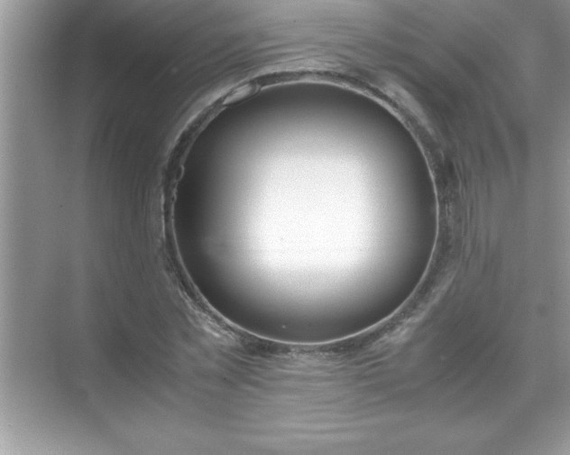 X0000071830781200607072208