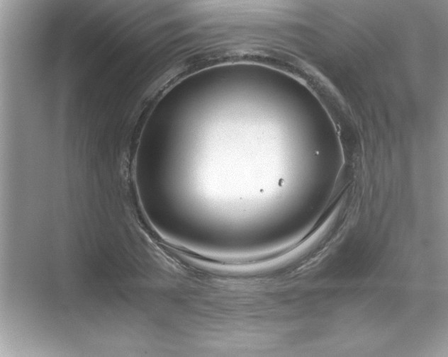 X0000071830785200607072208