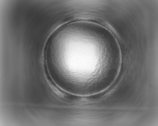 X0000071830787200607072208