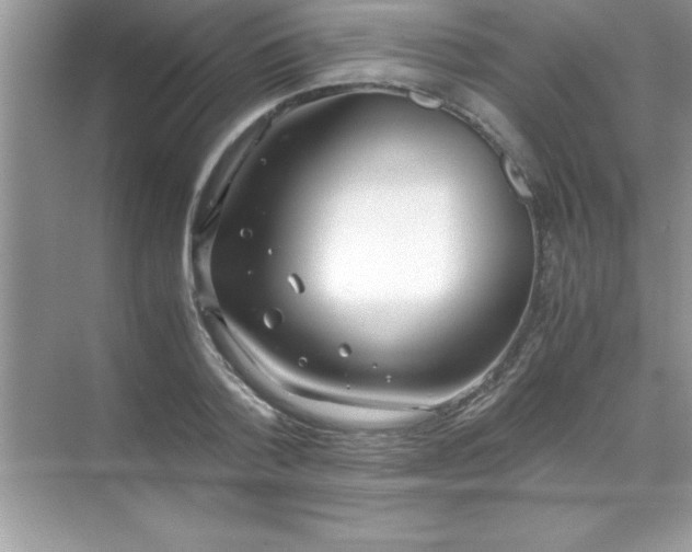 X0000071830788200607072208