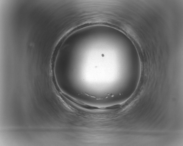 X0000071830789200607072208