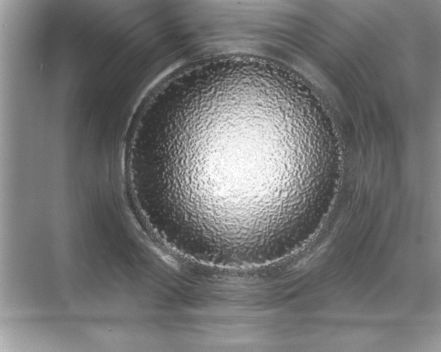 X0000071830790200607072208