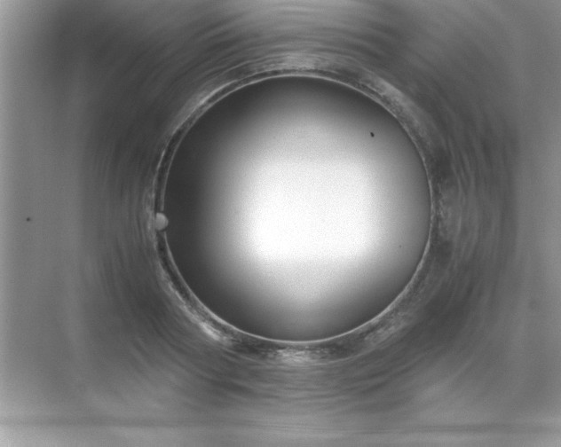 X0000071830794200607072208