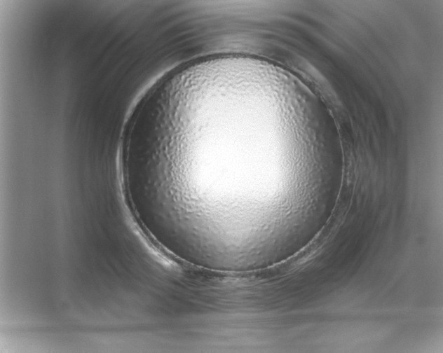 X0000071830796200607072208