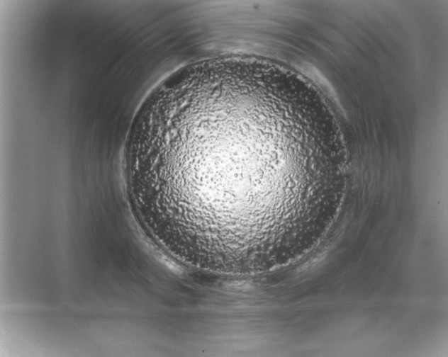 X0000071830798200607072208