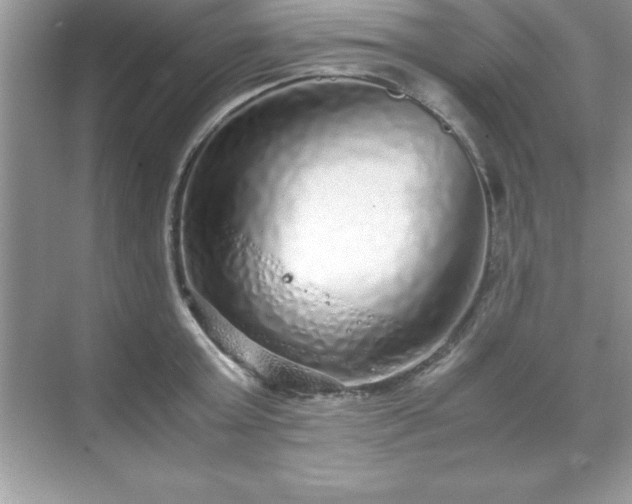 X0000071830803200607072208