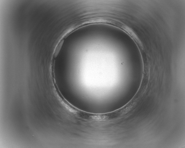 X0000071830805200607072208