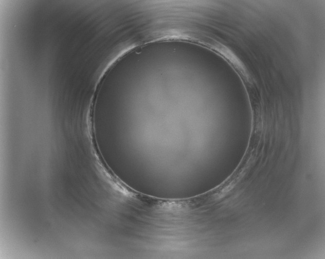 X0000071830806200607072208