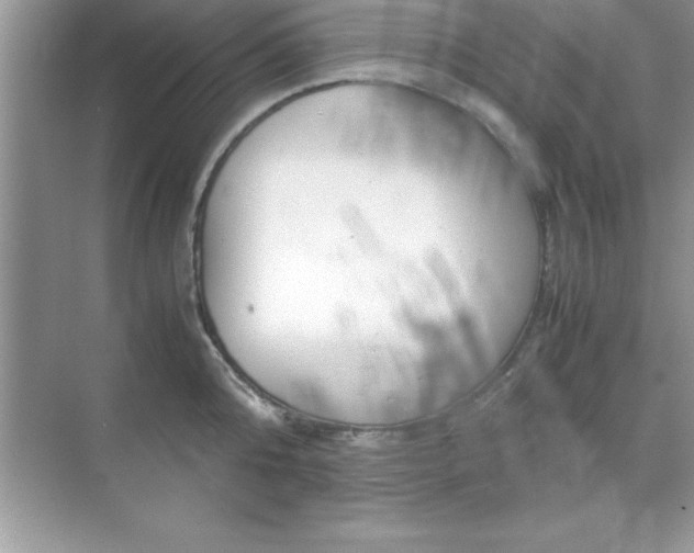 X0000071830808200607072208