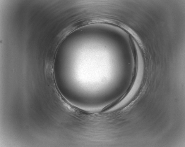 X0000071830809200607072208