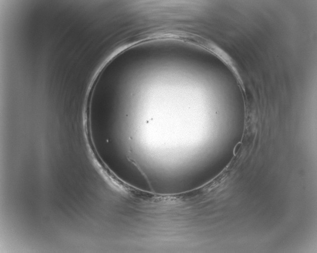 X0000071830811200607072208