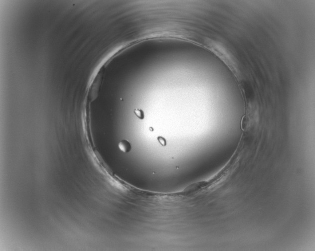 X0000071830812200607072208