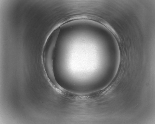 X0000071830813200607072208