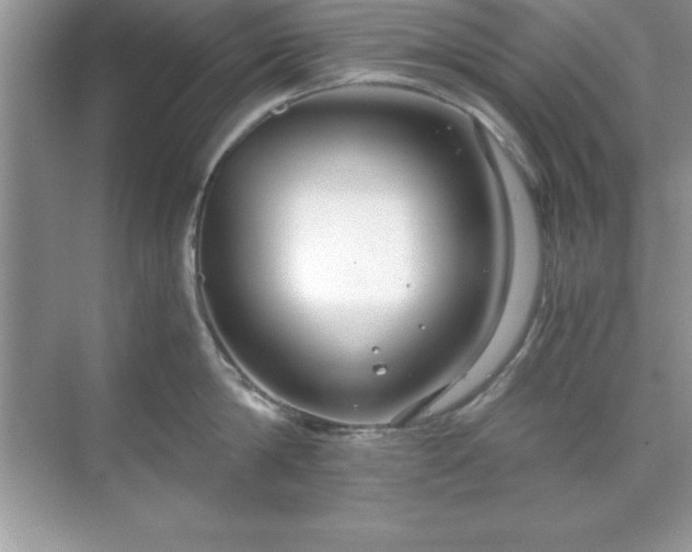 X0000071830814200607072208