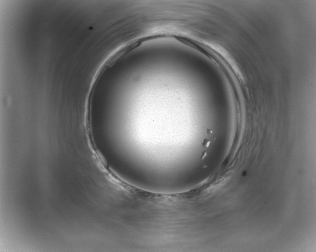 X0000071830815200607072208