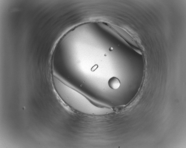 X0000071830816200607072208