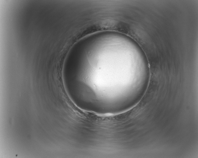 X0000071830817200607072207