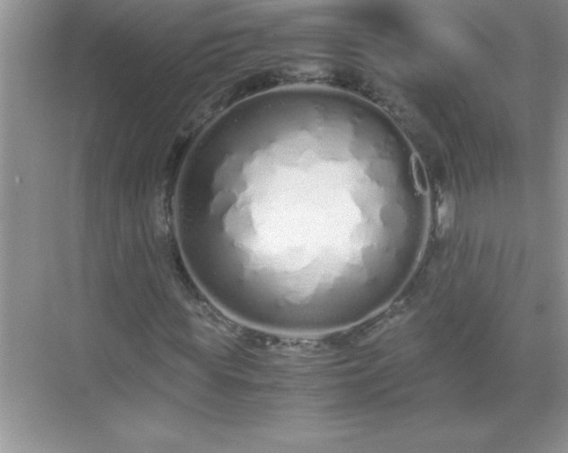 X0000071830819200607072207