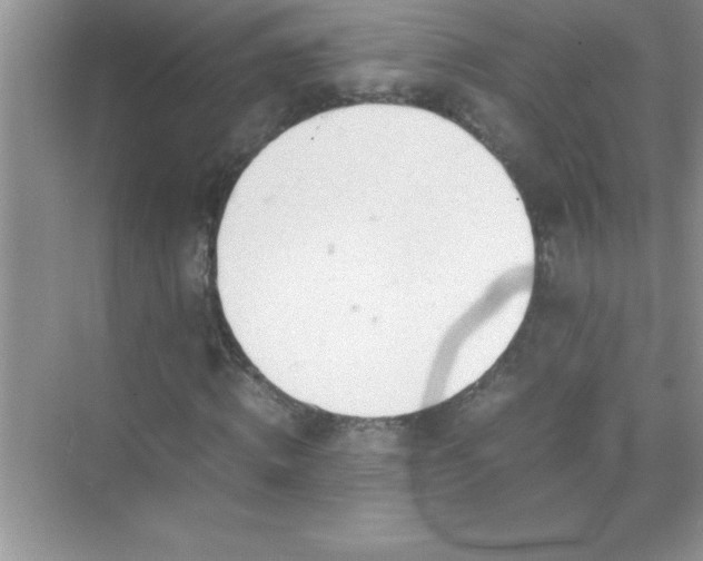 X0000071830820200607072207