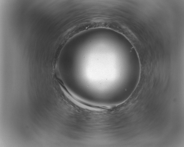 X0000071830821200607072207