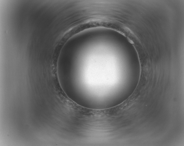 X0000071830822200607072207