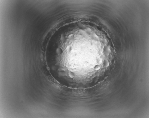 X0000071830823200607072207