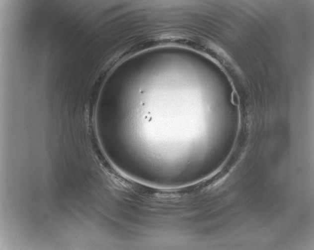 X0000071830825200607072207