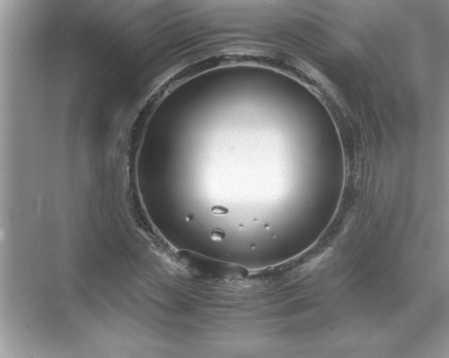 X0000071830829200607072207