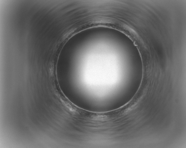 X0000071830833200607072207