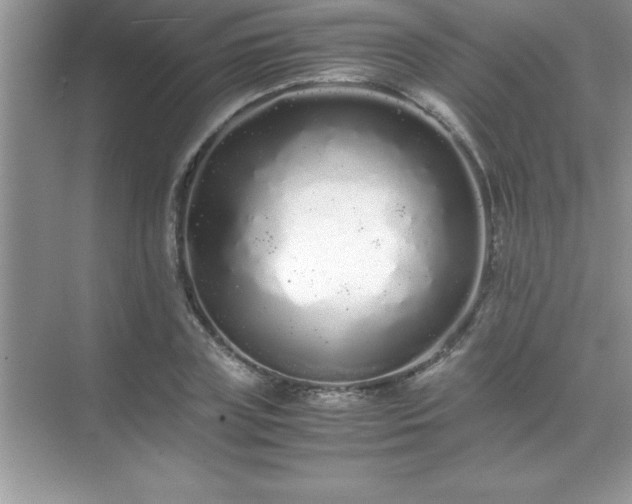 X0000071830835200607072207